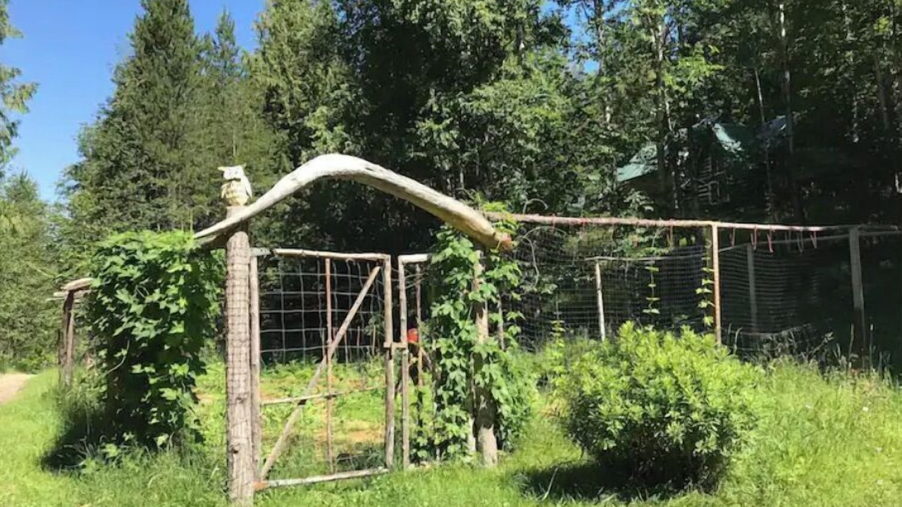 Photo of Outdoor in Sagle