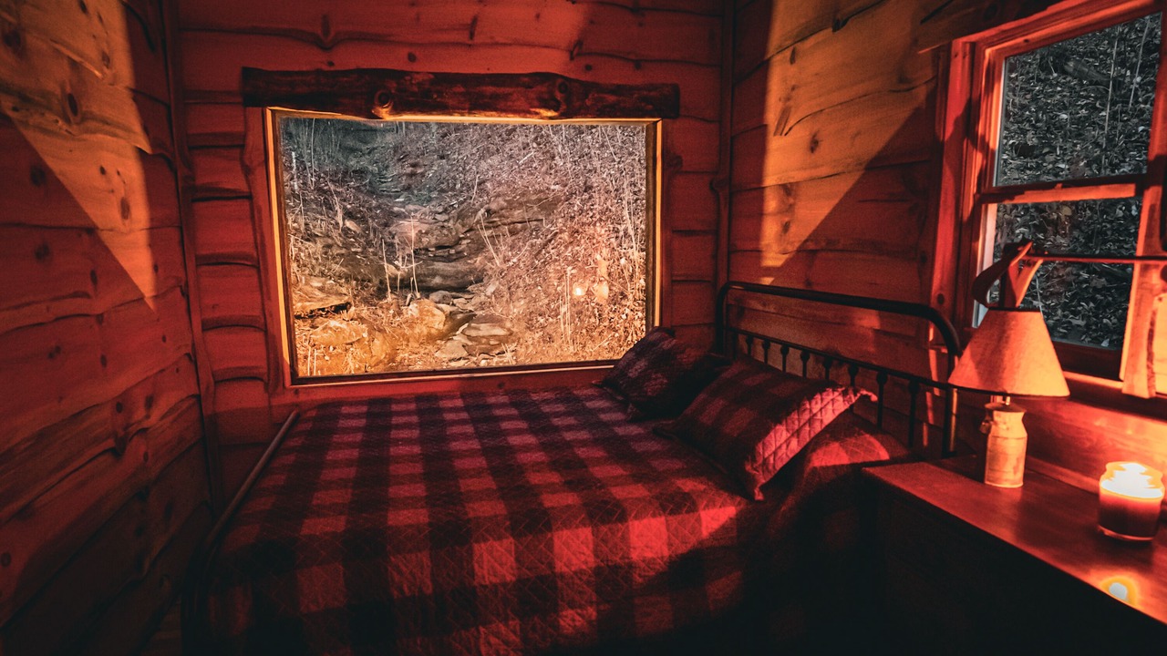 Photo of Others in Lynx