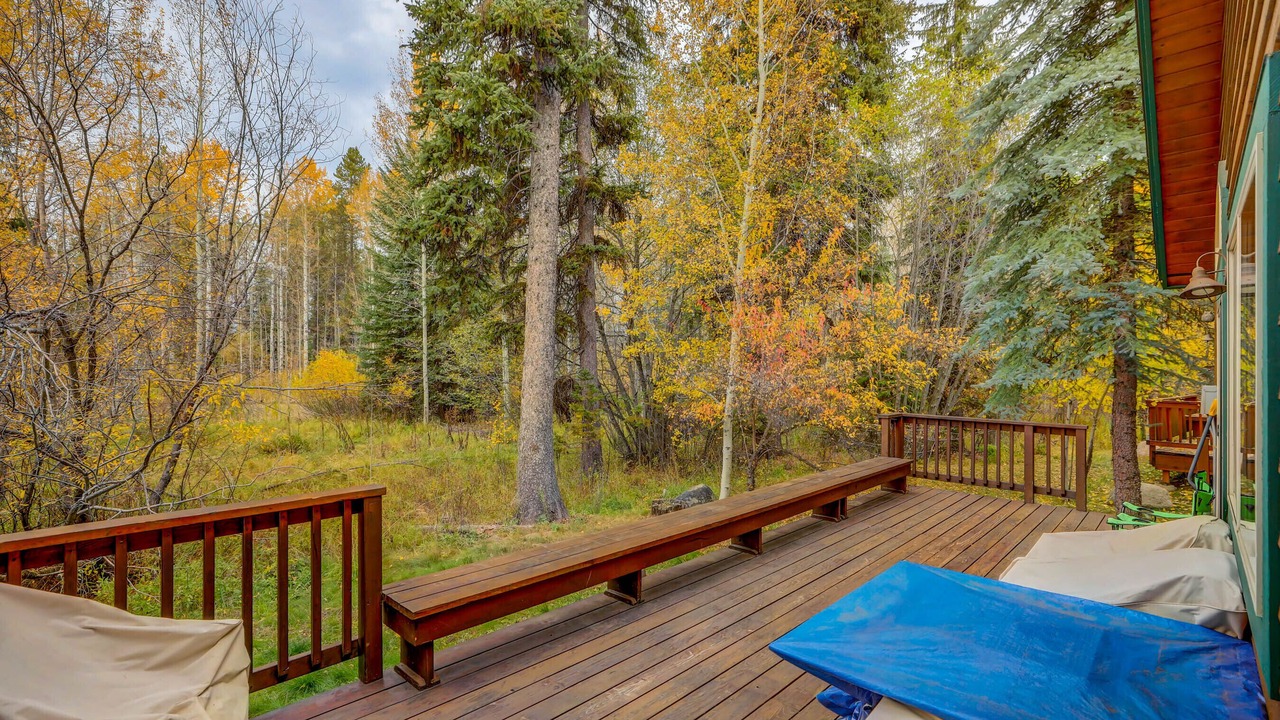Photo of Patio Balcony in McCall