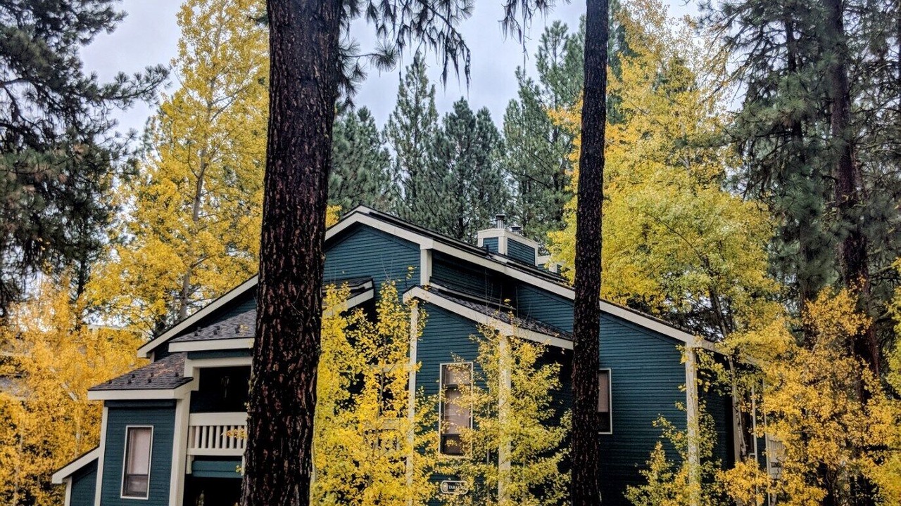 Photo of Outdoor in New Meadows