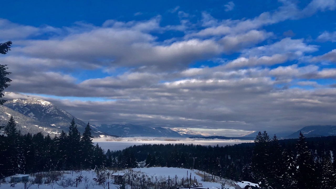 Photo of Others in Bonners Ferry