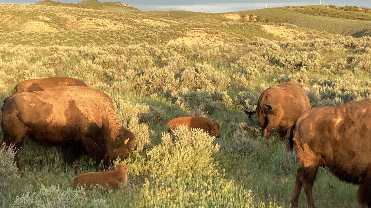 Photo of Outdoor in Thermopolis