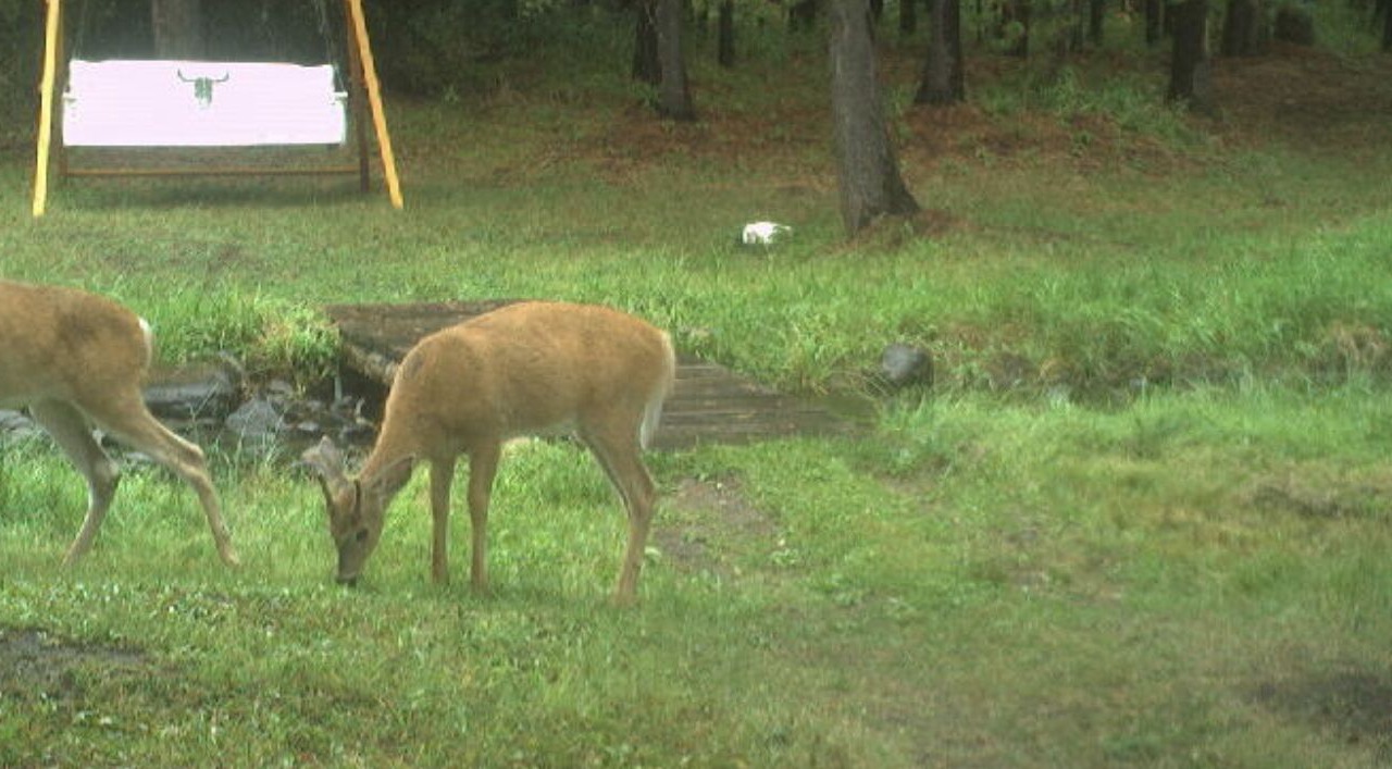 Photo of Others in Marion
