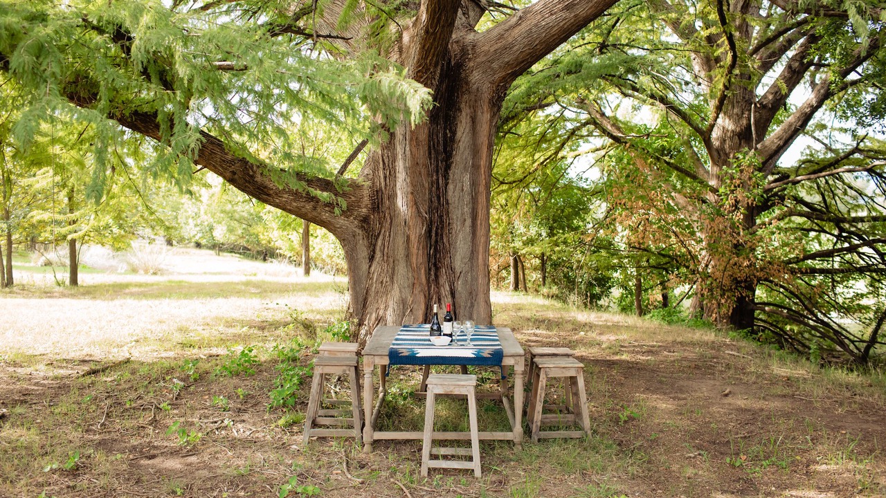 Photo of Outdoor in Stonewall