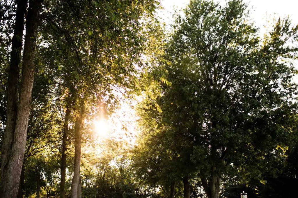 Photo of Outdoor in Wayne County