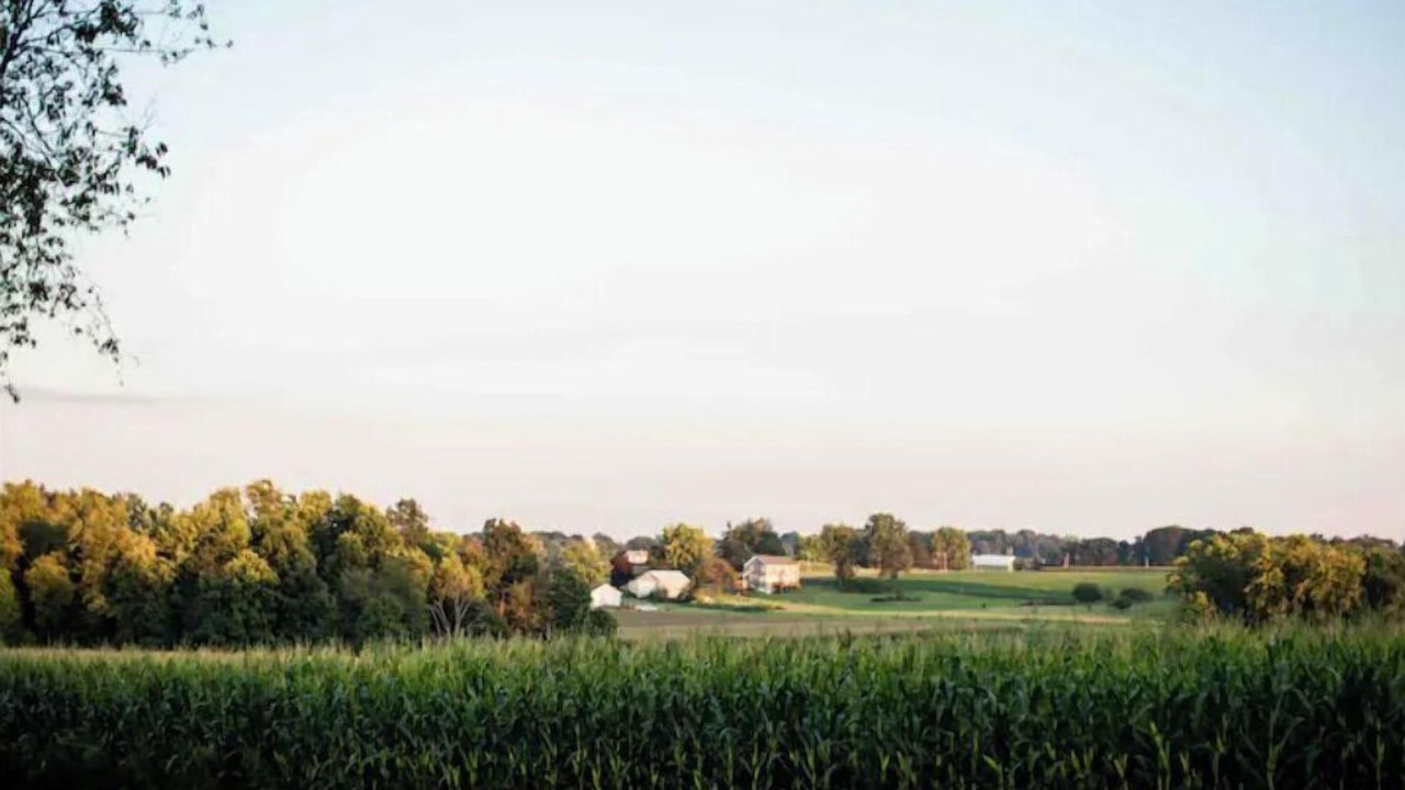 Photo of Outdoor in Wayne County