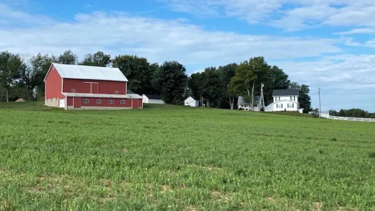 Photo of Outdoor in Wayne County