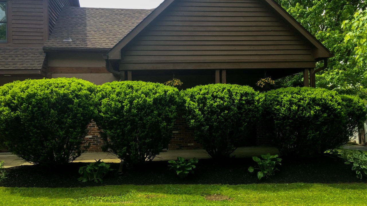 Photo of Outdoor in Galena