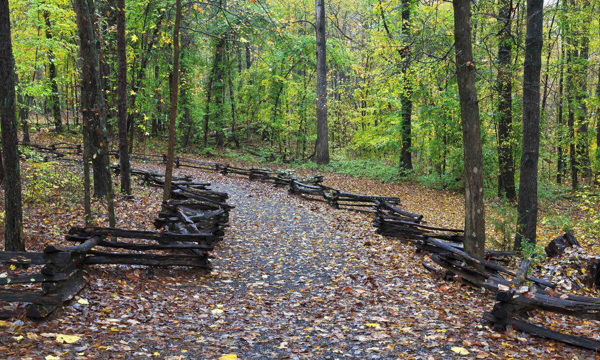 Photo of Outdoor in Bowling Green