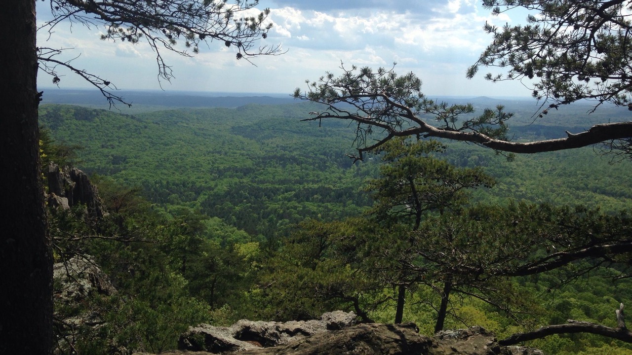 Photo of Outdoor in Bowling Green