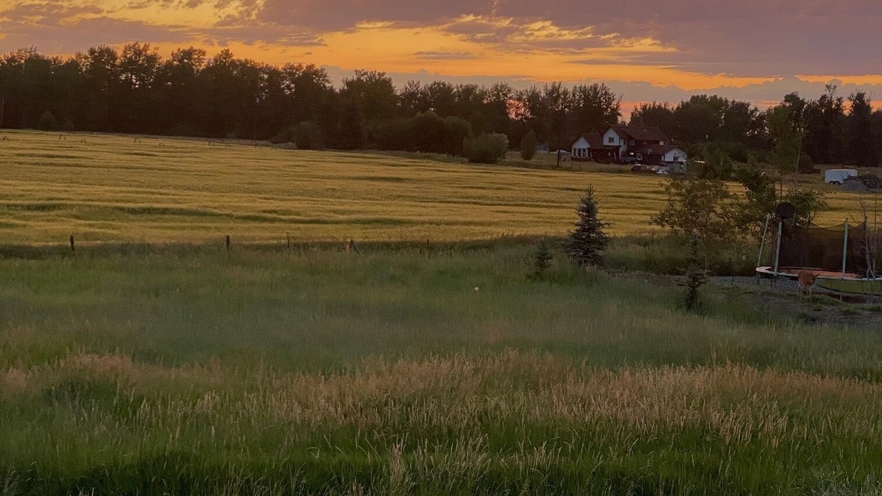 Photo of Others in Bozeman