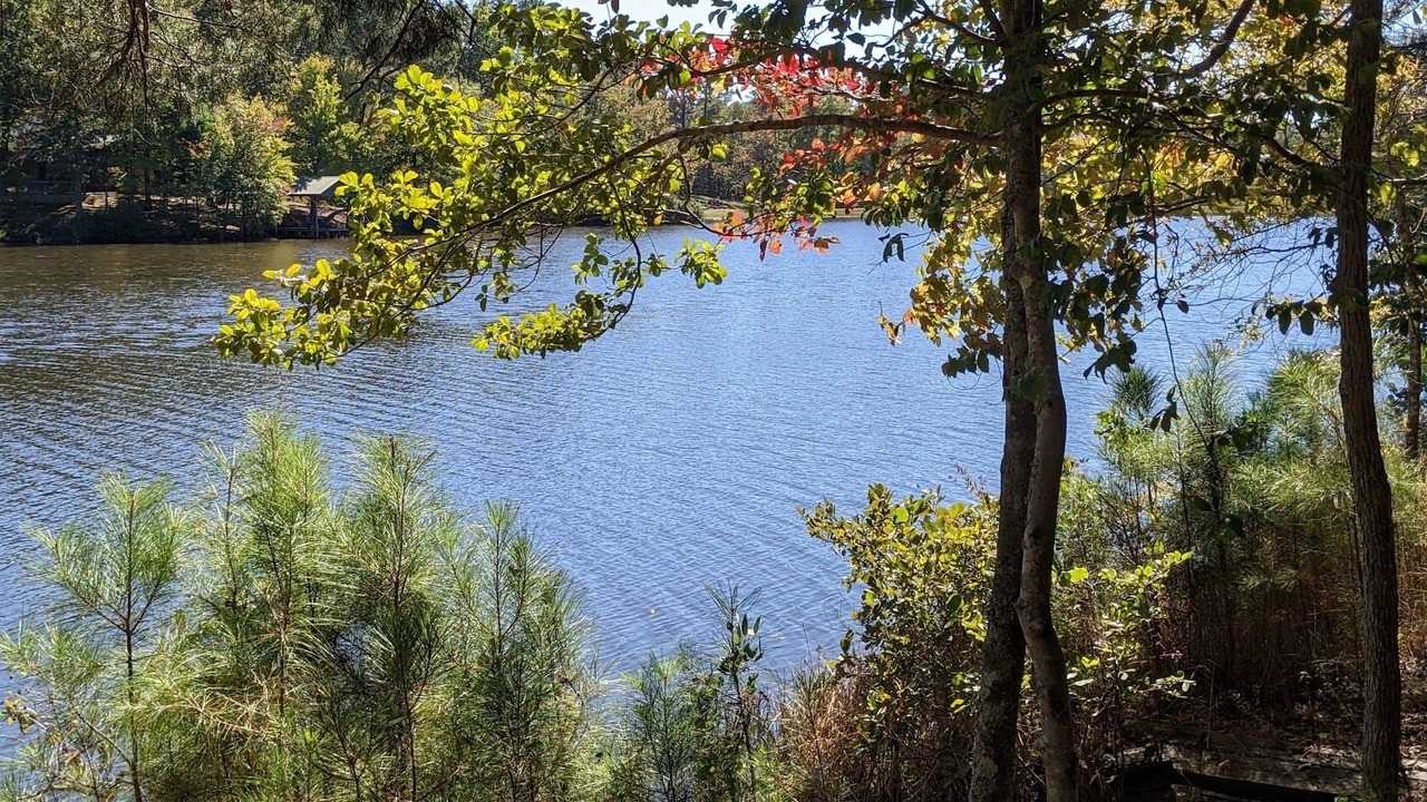 Photo of Outdoor in Saulsbury