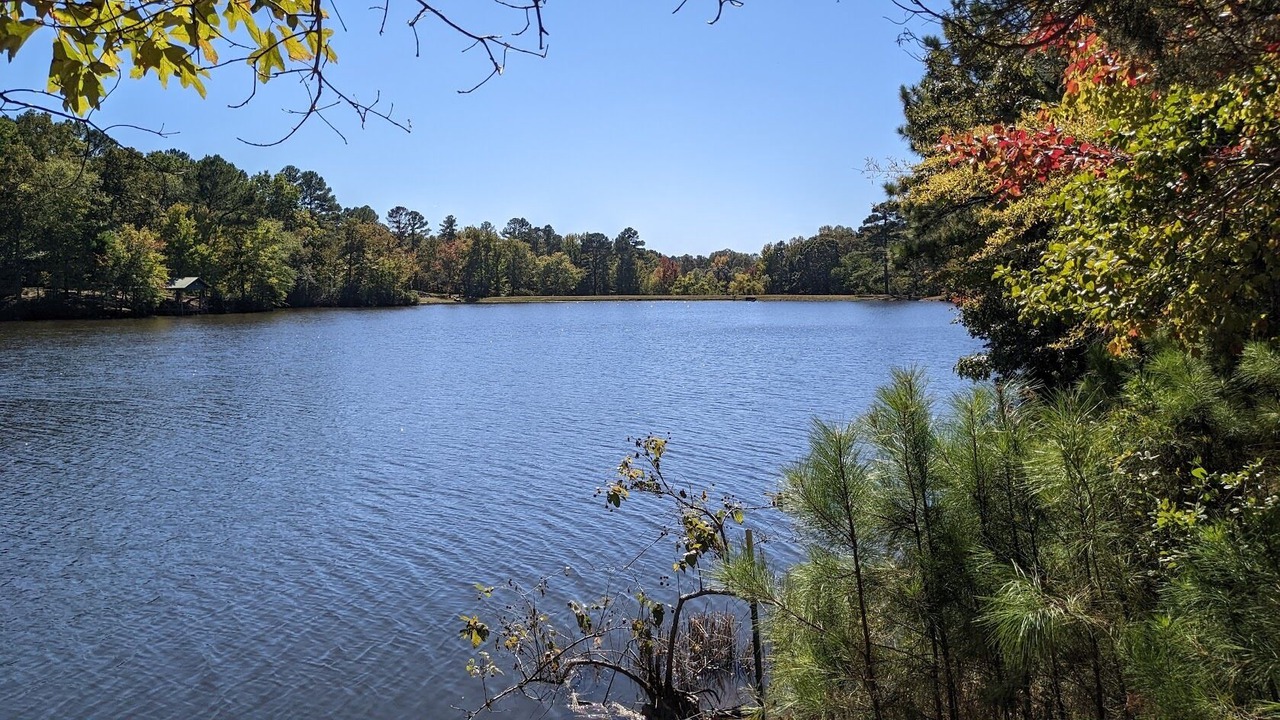 Photo of Outdoor in Saulsbury