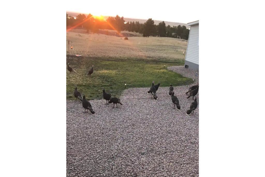 Photo of Outdoor in Pine Haven