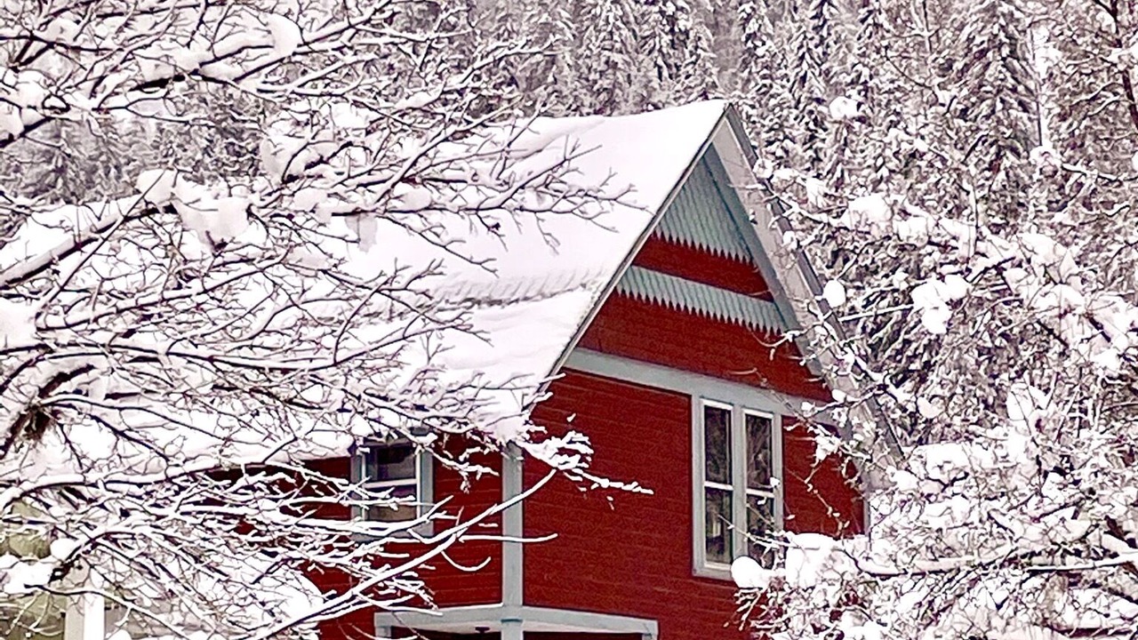 Photo of Outdoor in Wallace