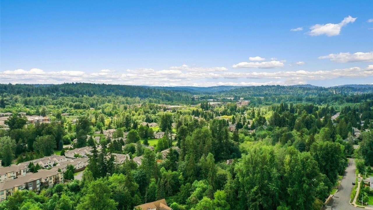 Photo of Outdoor in North Creek
