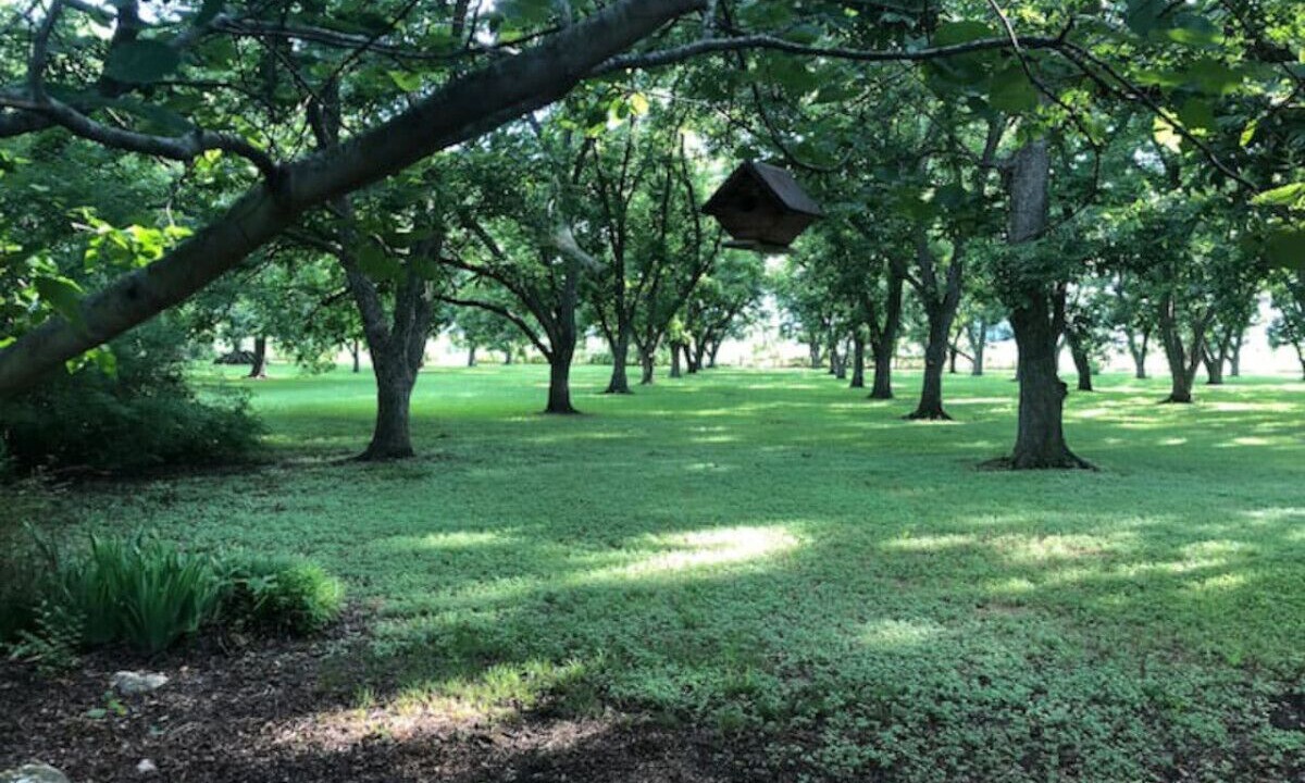 Photo of Others in Prairie Lea