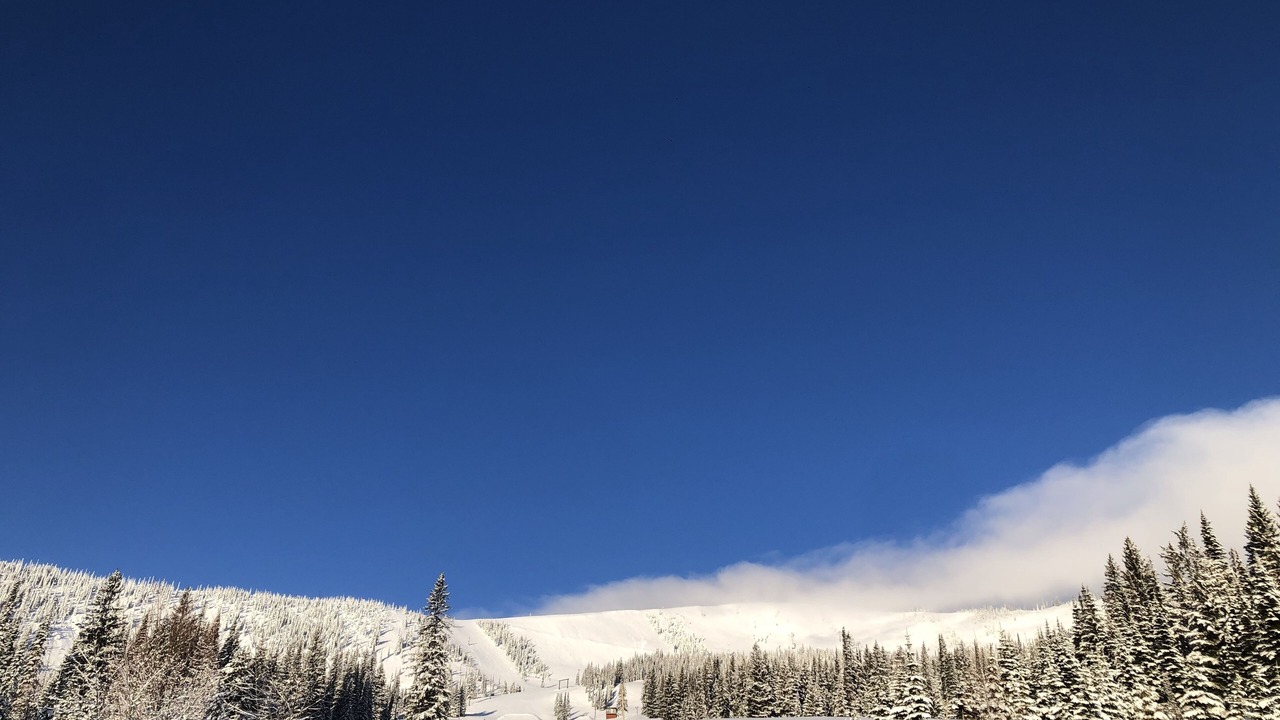 Photo of Others in Sandpoint