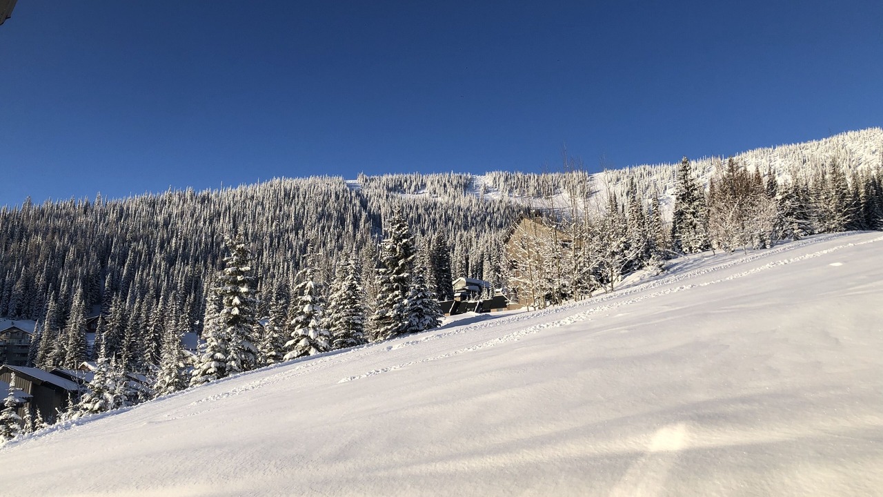 Photo of Others in Sandpoint