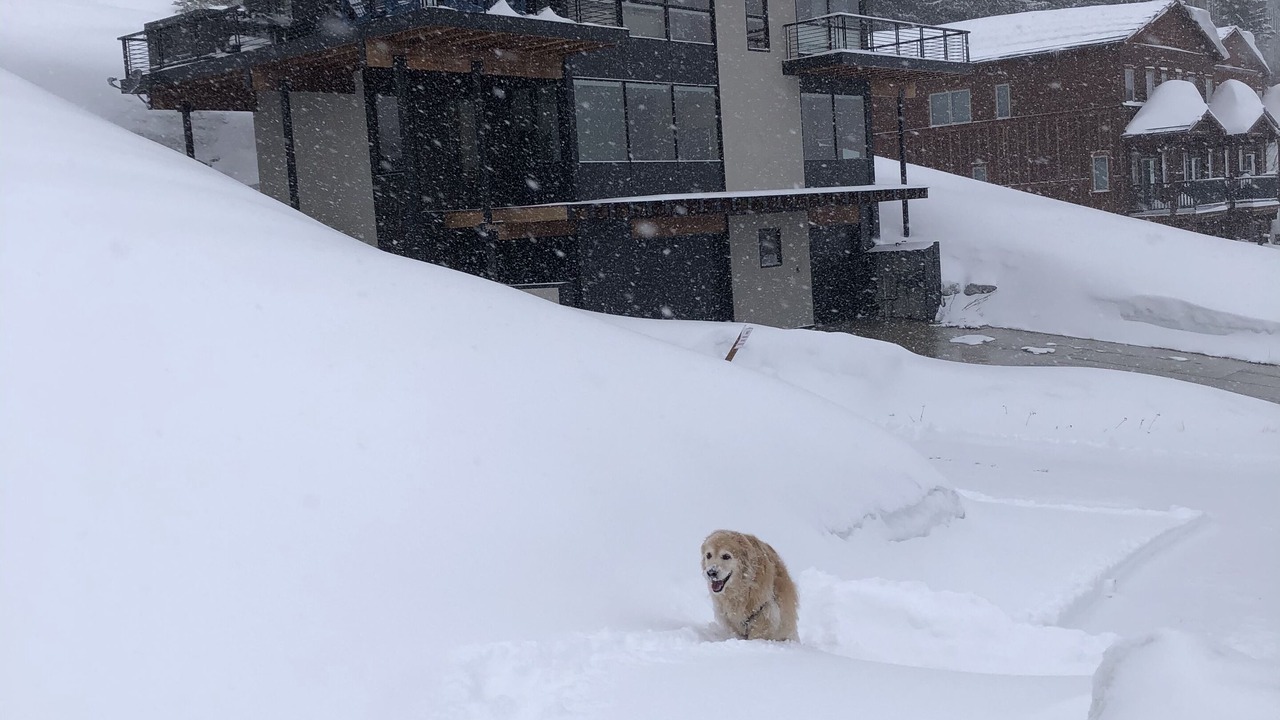Photo of Others in Sandpoint