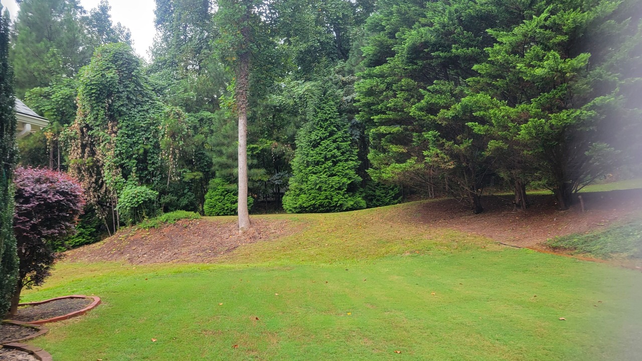 Photo of Outdoor in Woodstock