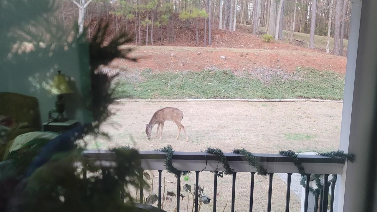 Photo of Outdoor in Woodstock