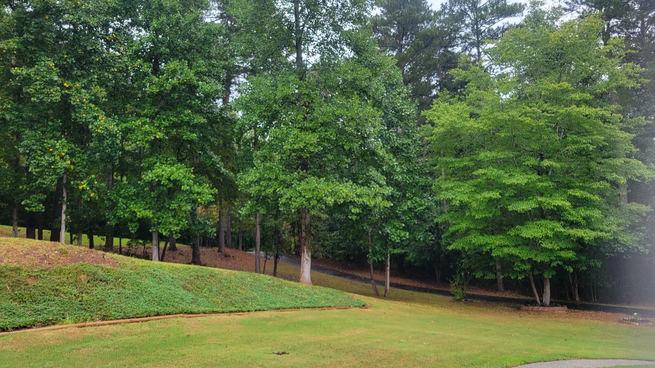 Photo of Outdoor in Woodstock