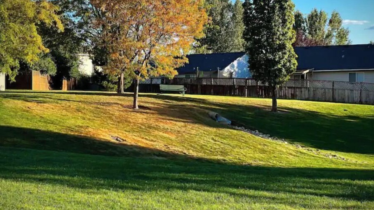 Photo of Outdoor in Southwest Ada County Alliance