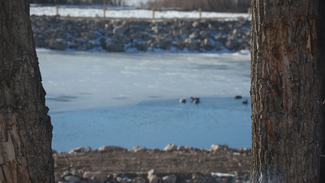Photo of Others in Dubois