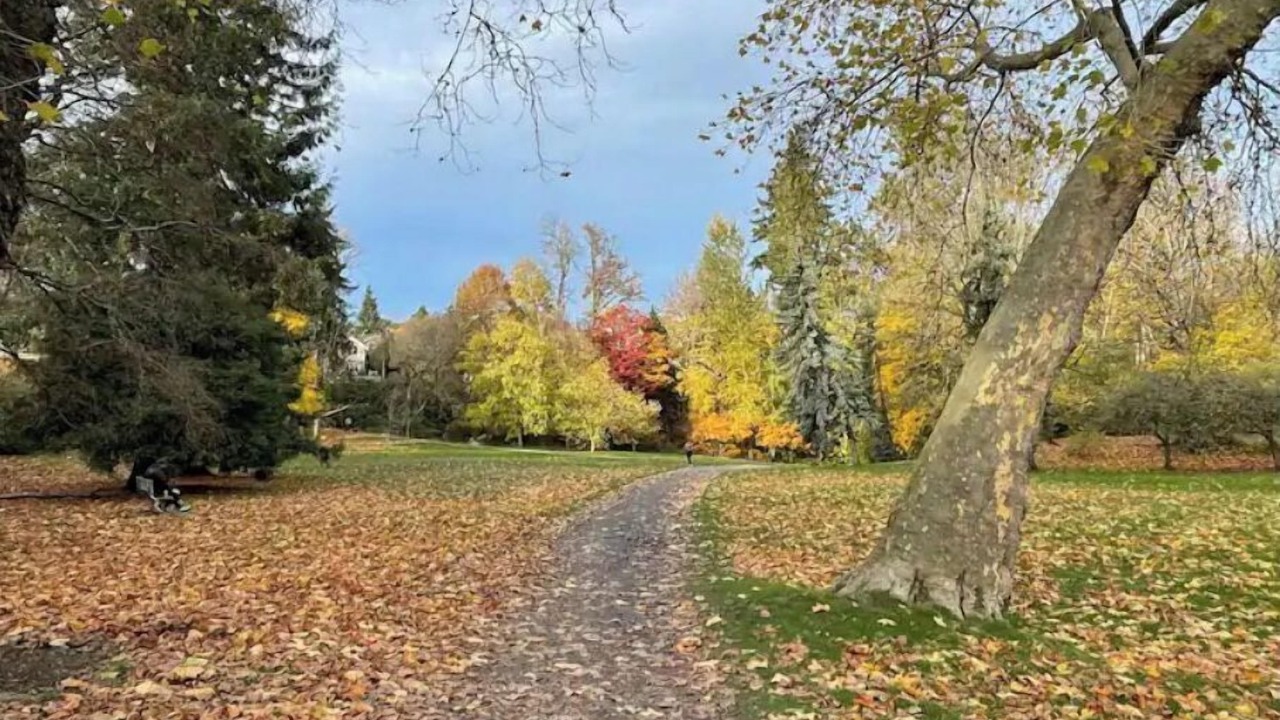 Photo of Others in Seattle