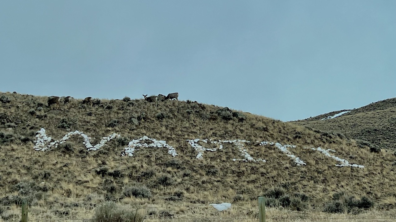 Photo of Others in Cody