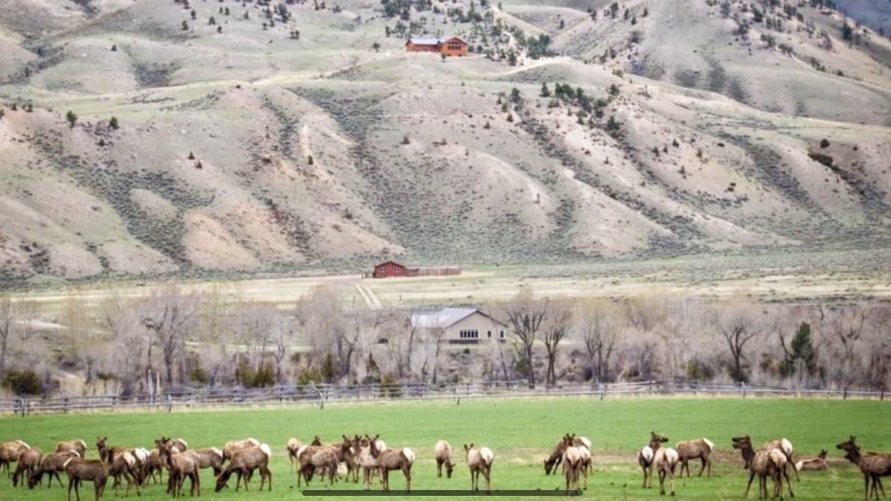 Photo of Others in Cody