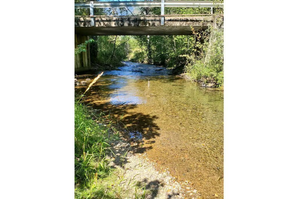 Photo of Outdoor in Noxon