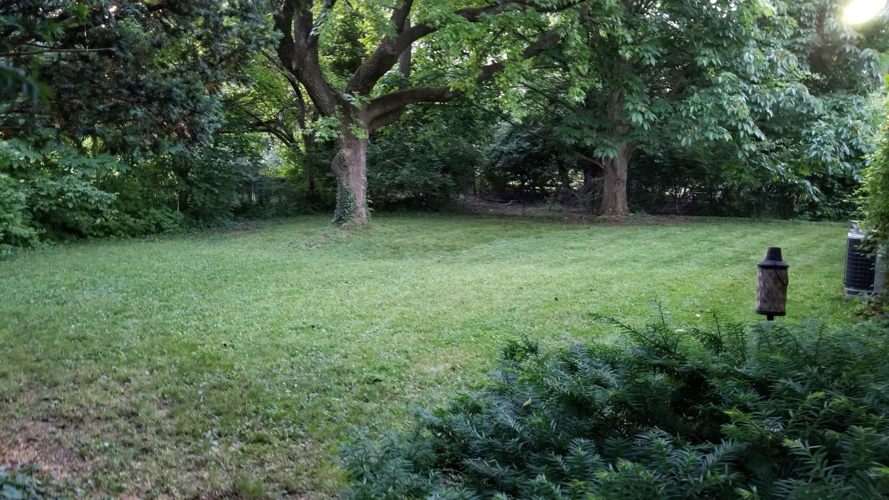 Photo of Others in Columbus