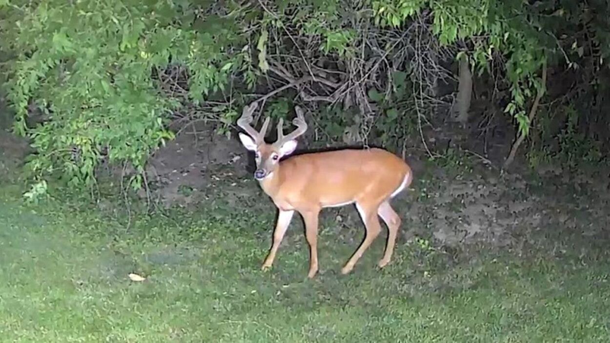 Photo of Others in Columbus