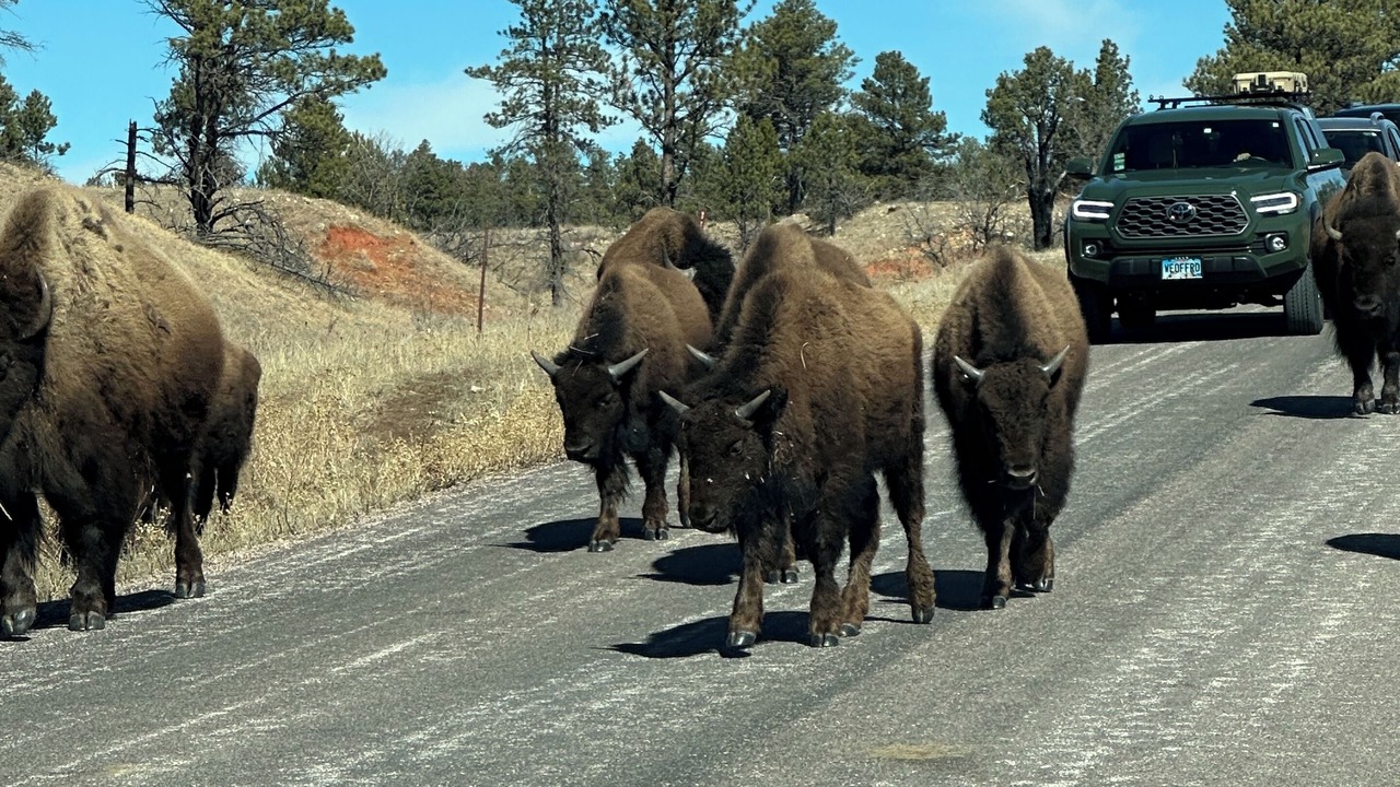 Photo of Others in Custer