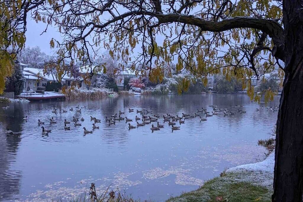Photo of Others in Boise