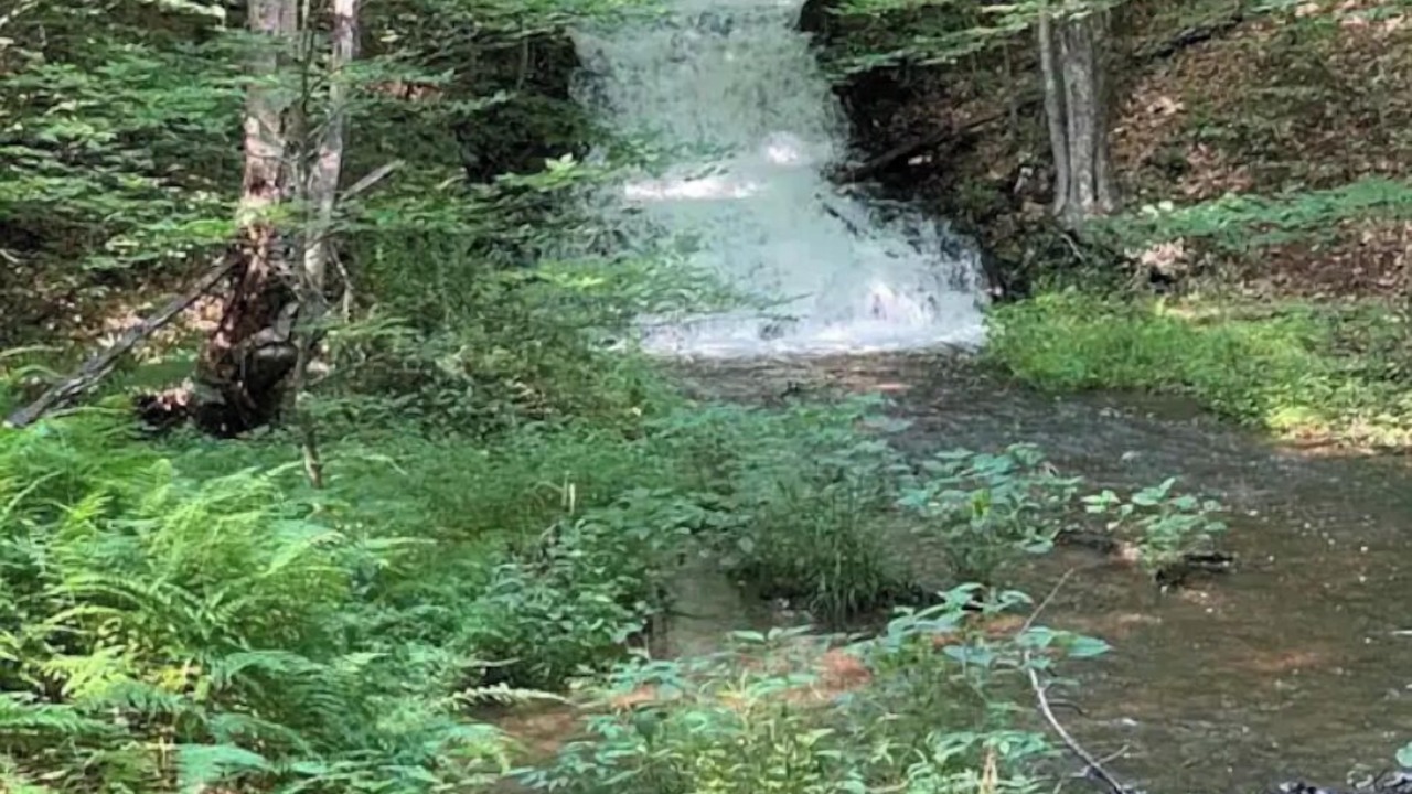 Photo of Others in Beach Lake