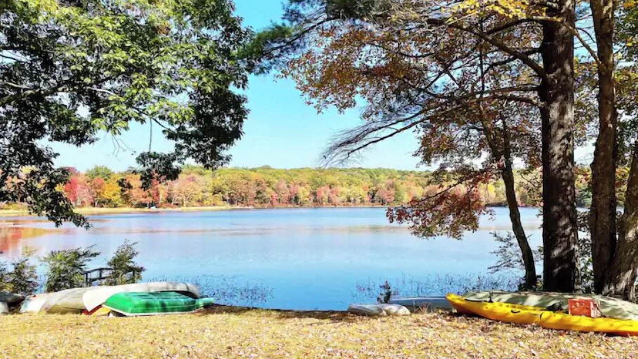 Photo of Others in Beach Lake