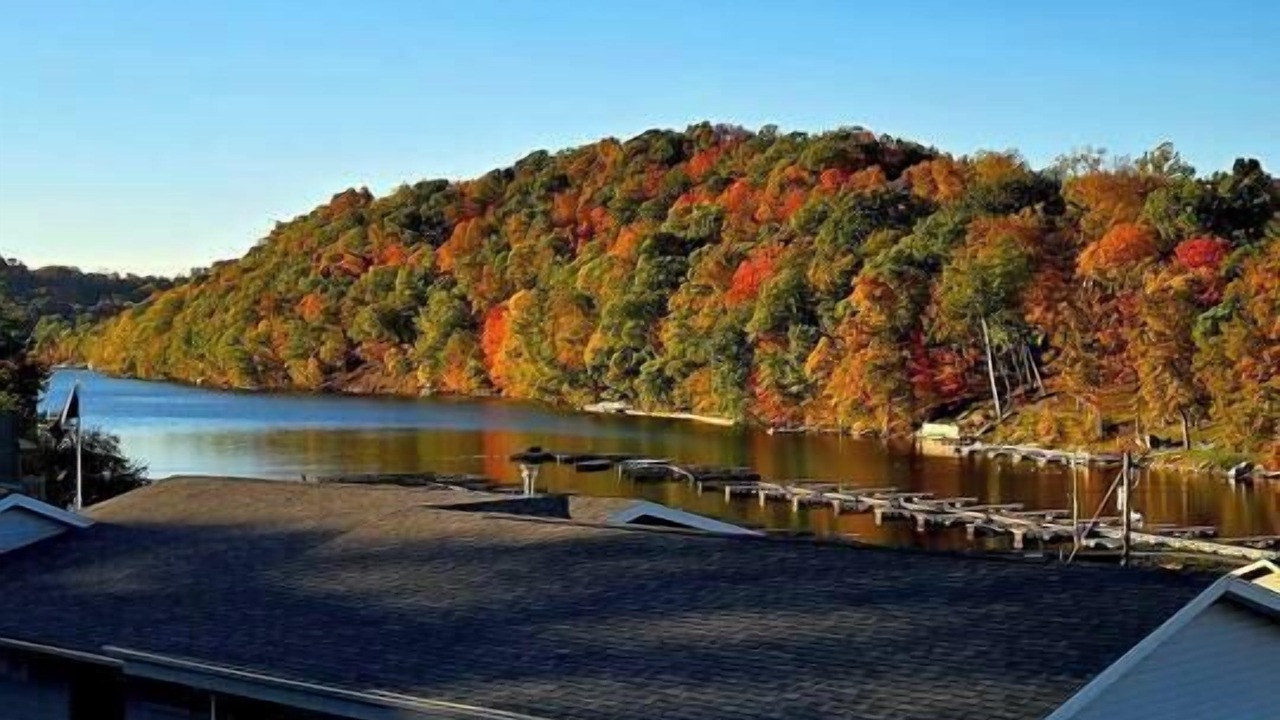Photo of Others in Cheat Lake