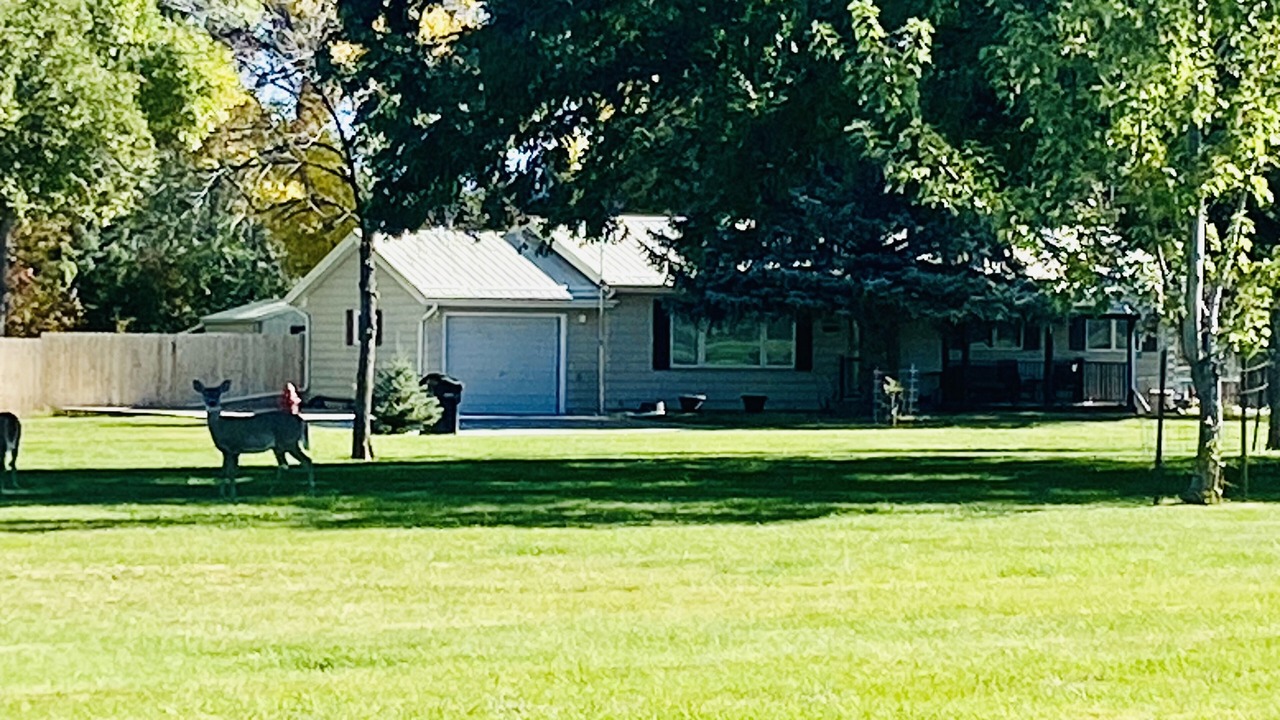 Photo of Others in Fort Peck
