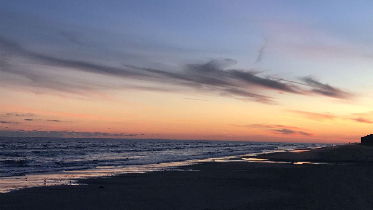 Photo of Others in Galveston