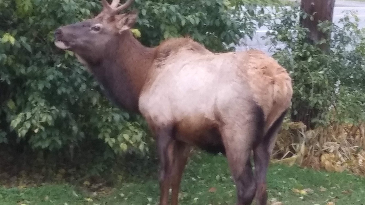 Photo of Outdoor in Byrnedale