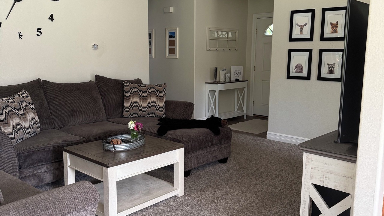 Photo of Livingroom in Hamilton