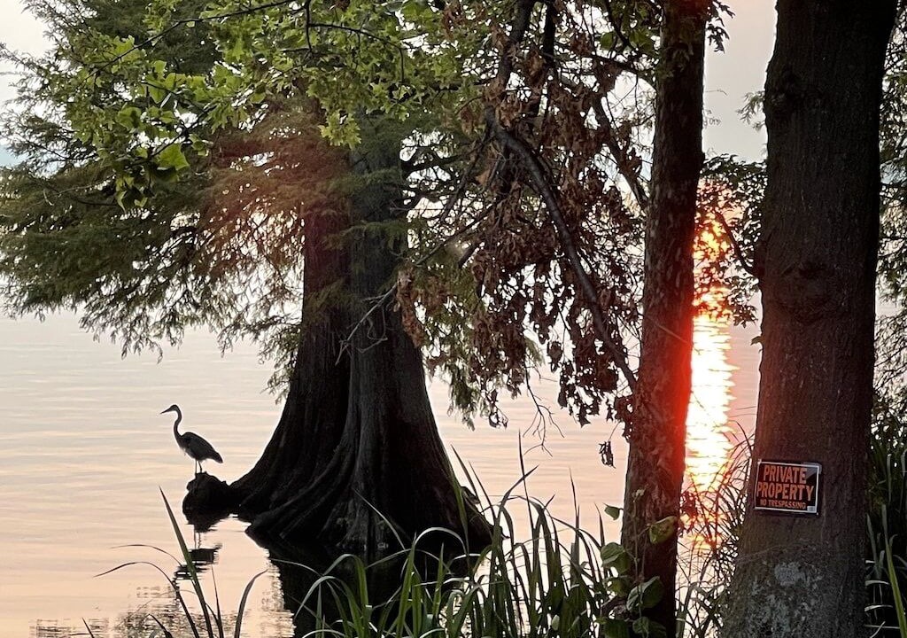 Photo of Outdoor in Hornbeak