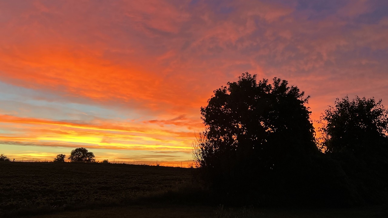 Photo of Outdoor in Clay County