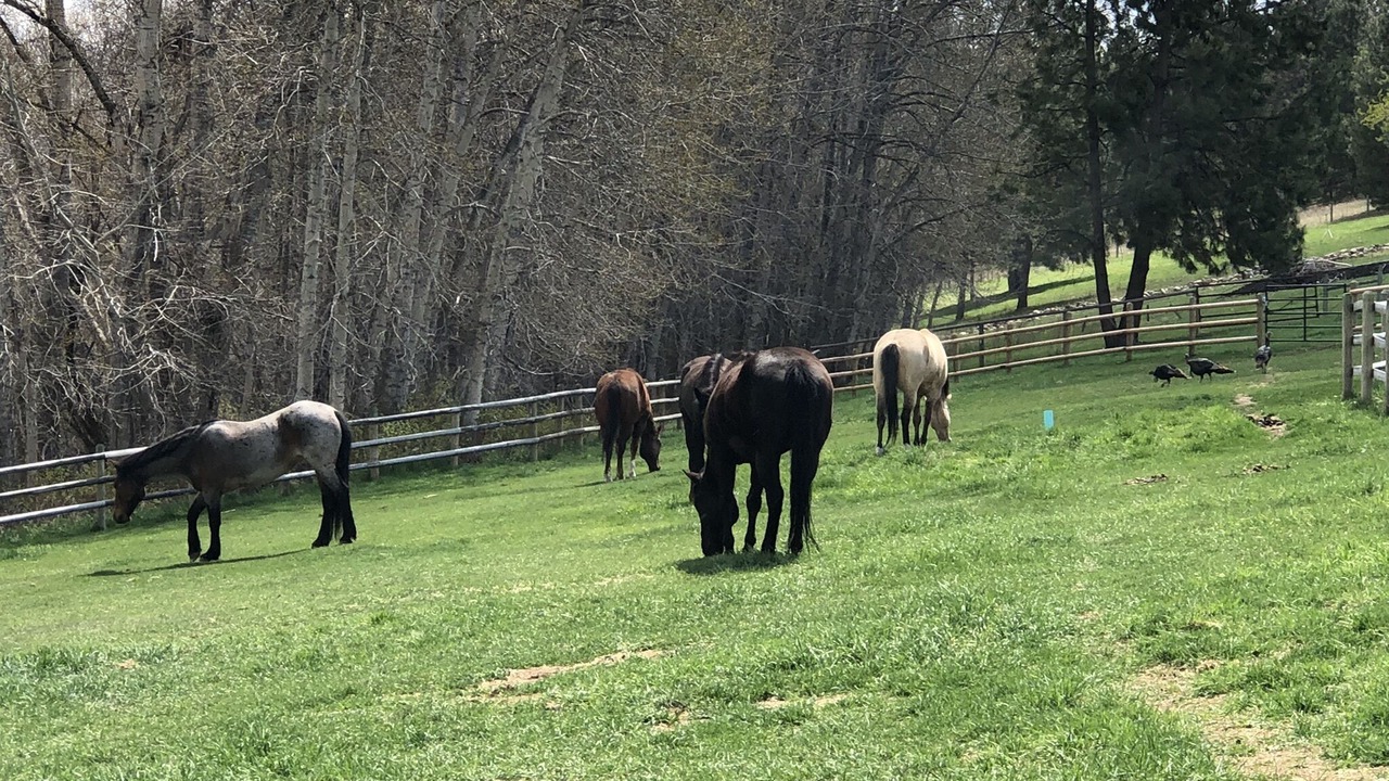 Photo of Others in Hamilton
