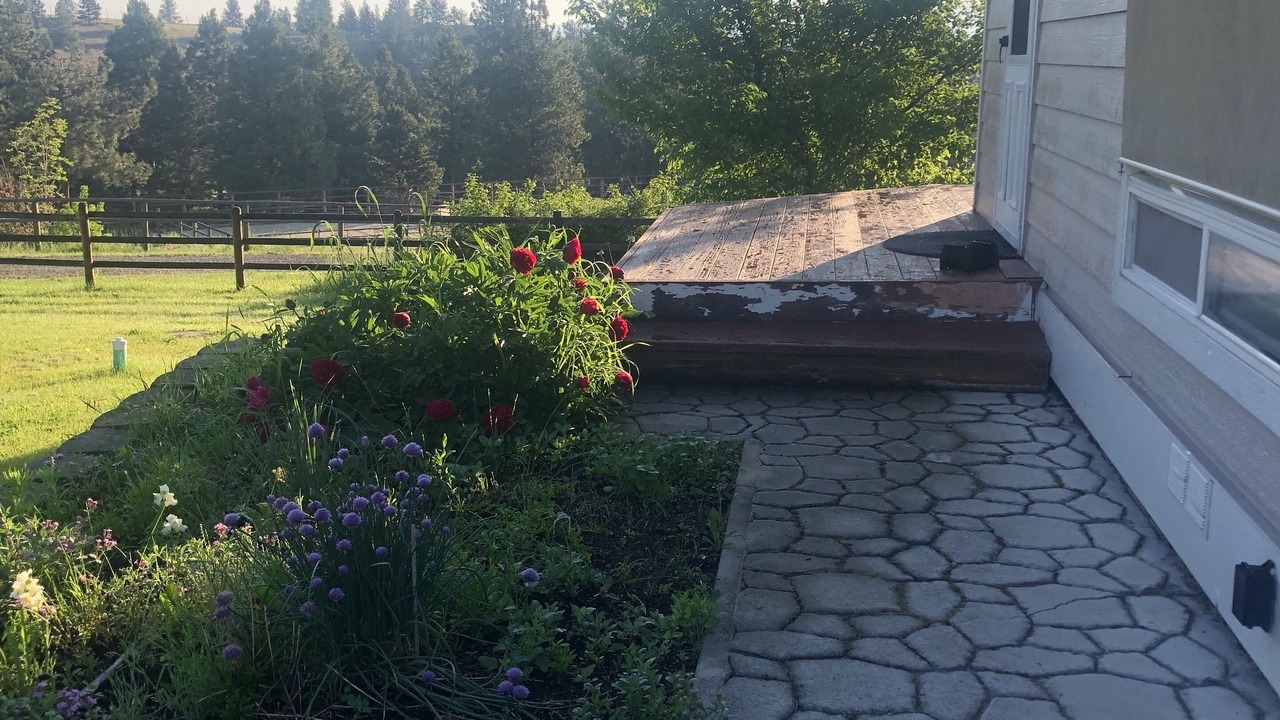 Photo of Outdoor in Hamilton