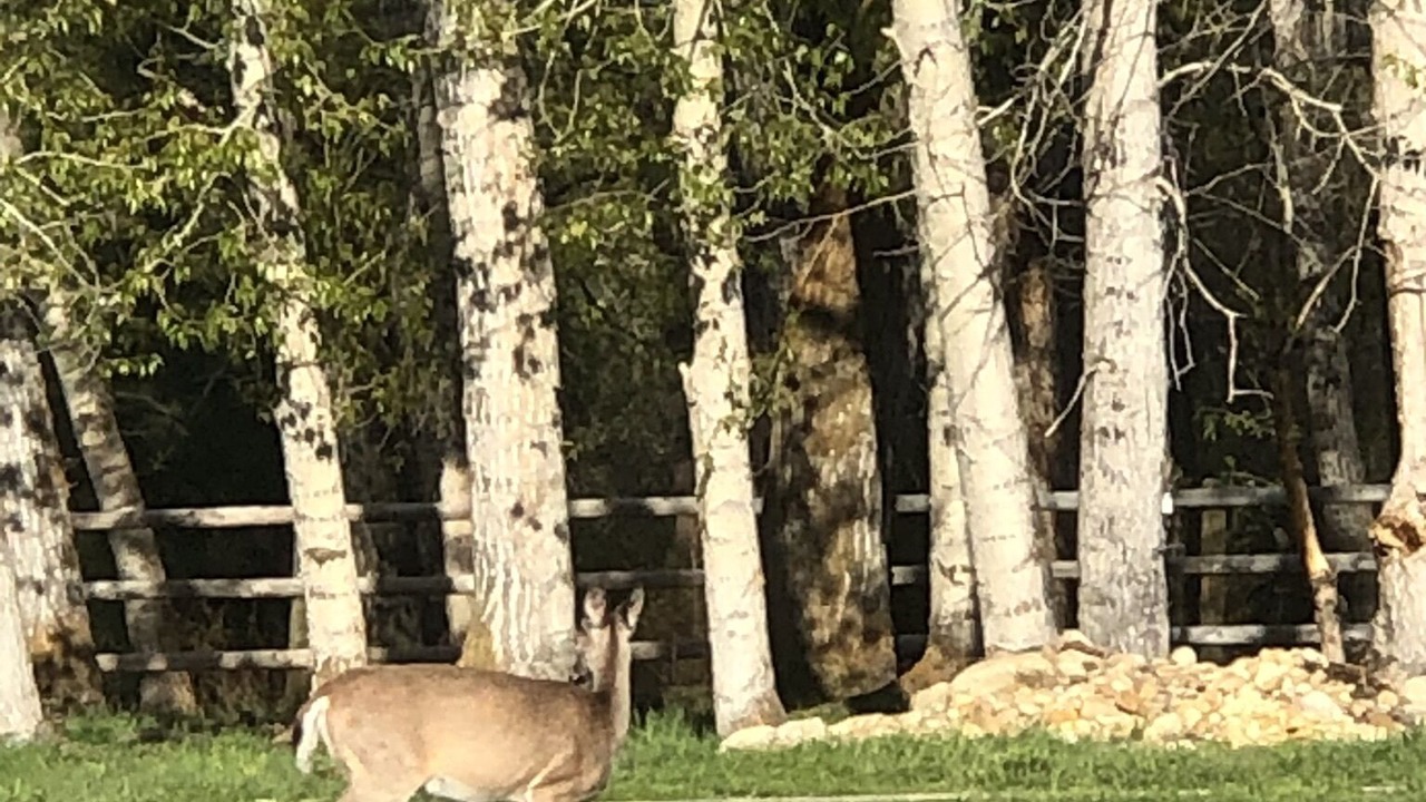 Photo of Outdoor in Hamilton