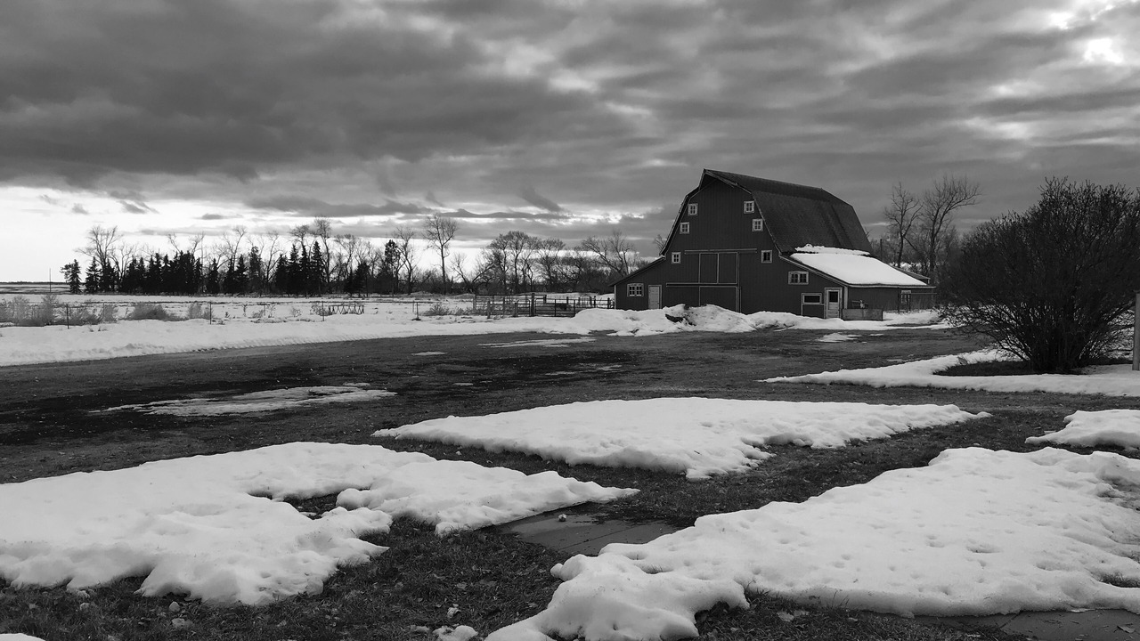 Photo of Outdoor in Pierce County